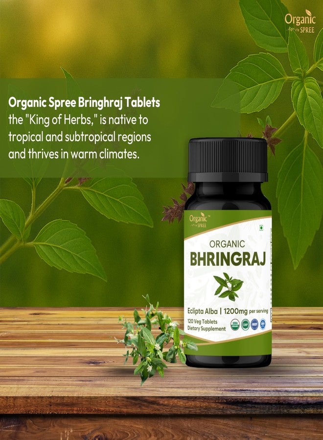 ORGANIC SPREE Bhringraj 120 Tablets | Eclipta Alba (Bhringraj) | USDA Organic Certified | Ayurvedic Hair Care* | Organic and Natural 120tab - Image 2